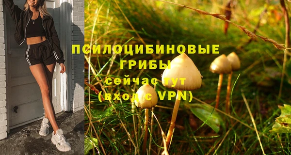 каннабис Арсеньев