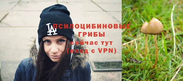 эйфоретик Армянск