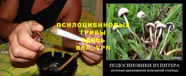 каннабис Арсеньев