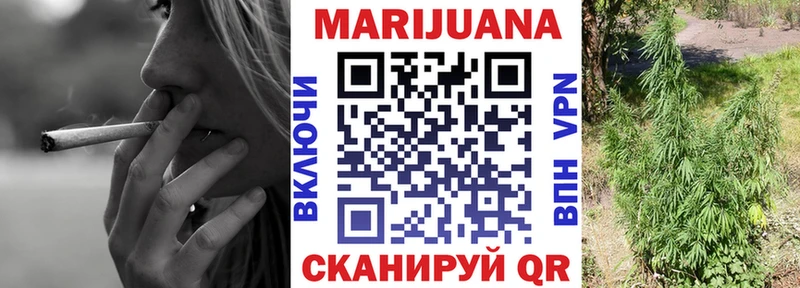 Каннабис SATIVA & INDICA  Цивильск 